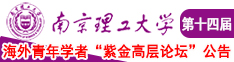 操屌女人视频南京理工大学第十四届海外青年学者紫金论坛诚邀海内外英才！